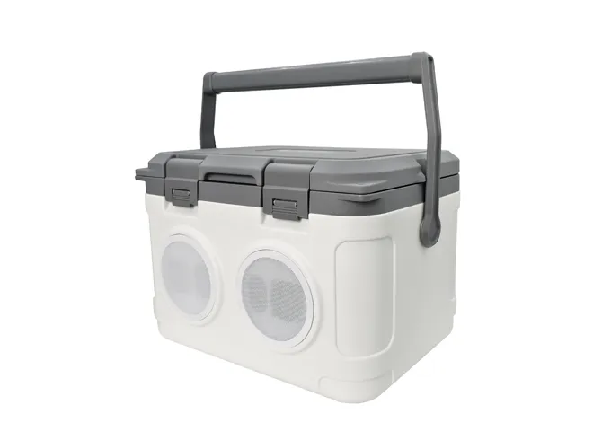 Vacuum Cooler Box SPV-BIB