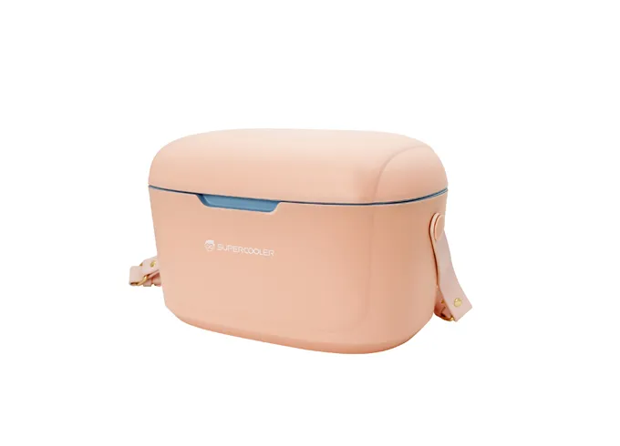 Vacuum Cooler Box SPV-EB